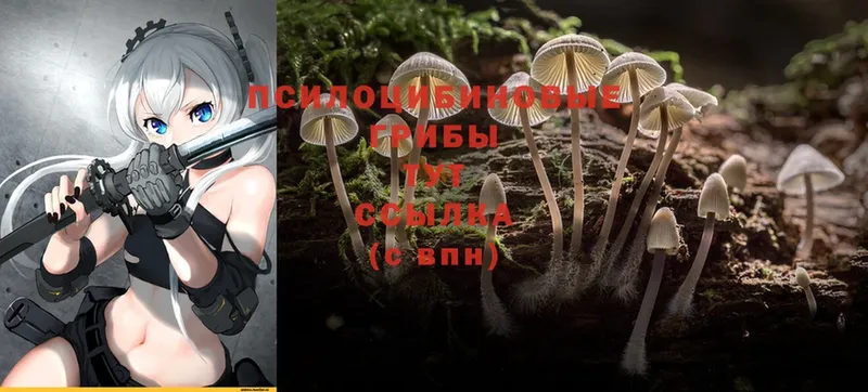 Галлюциногенные грибы Magic Shrooms  Заволжск 